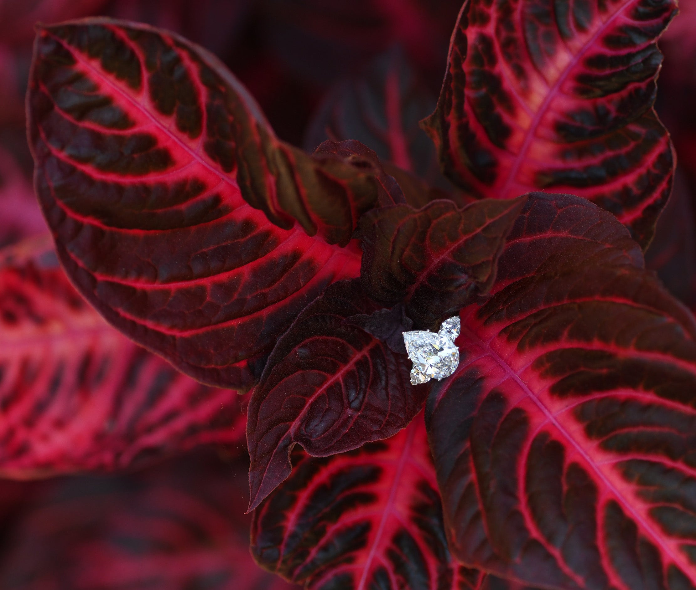 SHOP ENGAGEMENT RINGS