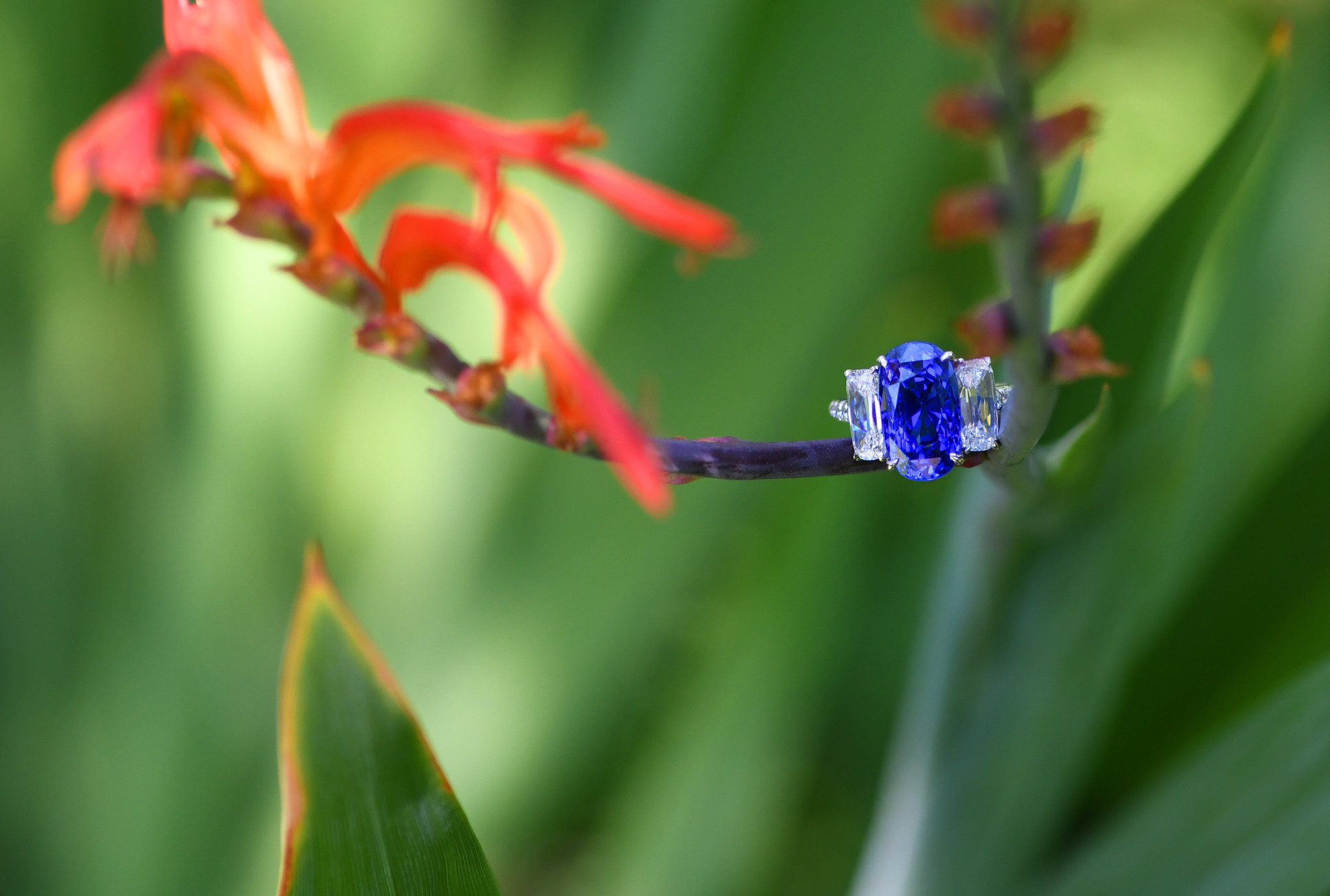 SAPPHIRE JEWELRY