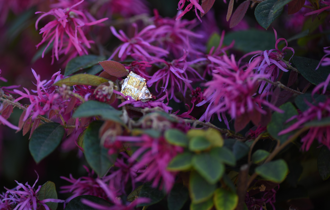 SHOP COLORED DIAMOND JEWELRY