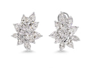 Diamond, 18.39 carats, Cluster Earrings in Platinum