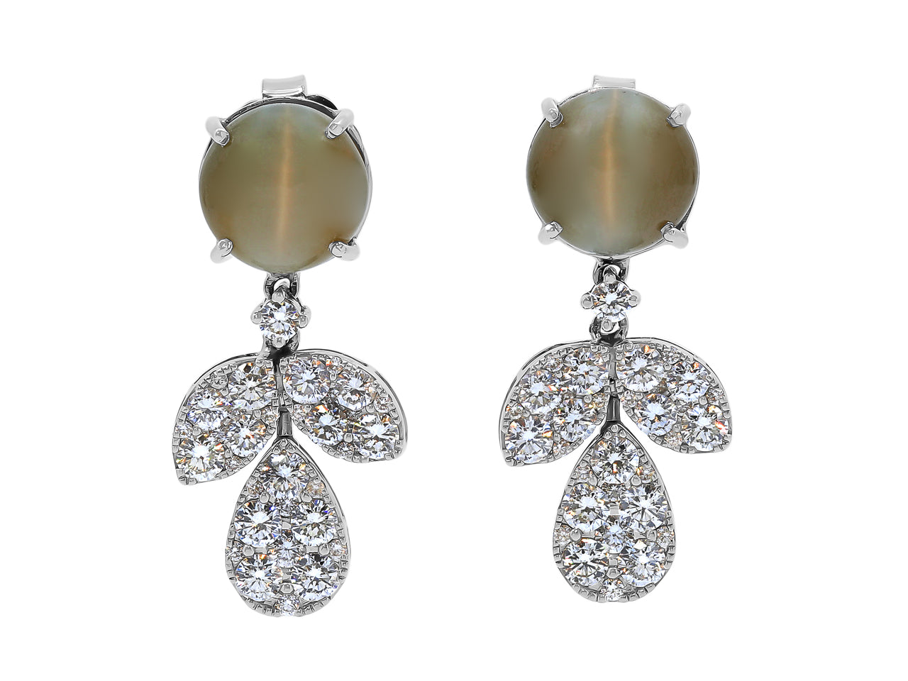 Cat's Eye Chrysoberyl Earrings, in 18K White Gold